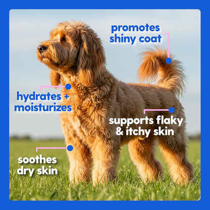 Collagen Drops for Dogs
