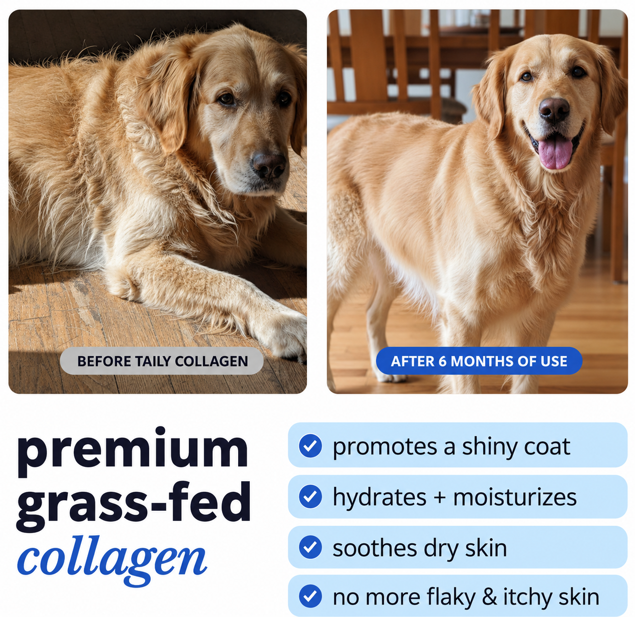 Collagen Drops for Dogs