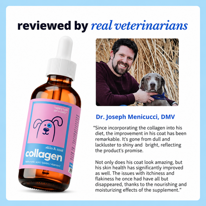 Collagen Drops for Dogs