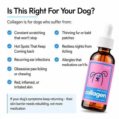 Collagen Drops for Dogs