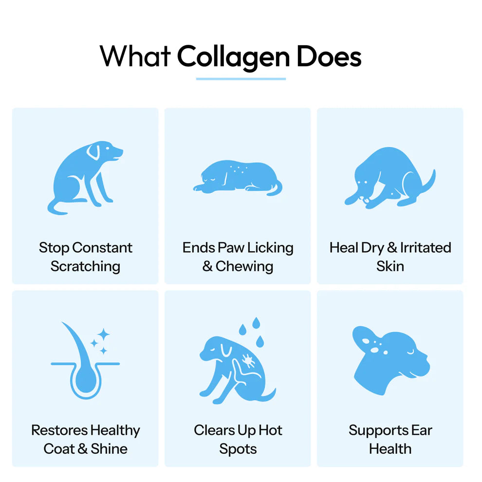 Collagen Drops for Dogs