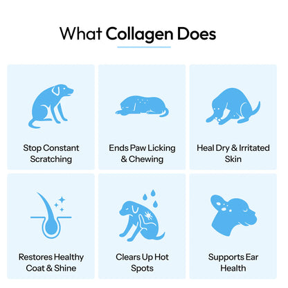 Collagen Drops for Dogs